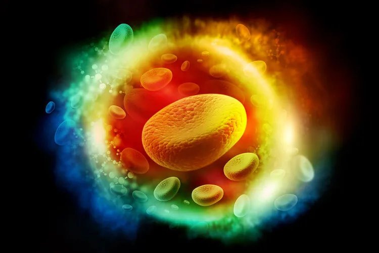 心脏支架降价后,医生开始滥用药物球囊?球囊会替代支架吗?