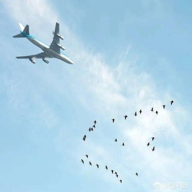 印度又火了，这次是战机扔油箱，到底是怎么回事？