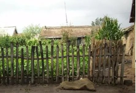 什么是家的味道？