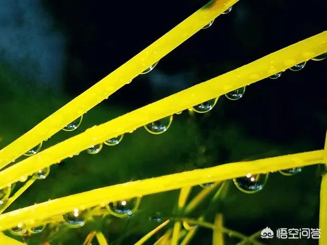 阴雨天如何拍出好照片?