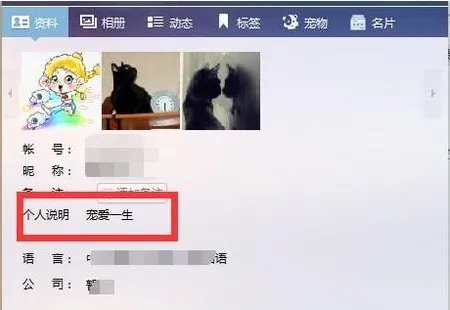 QQ的个人说明，资料怎么写？