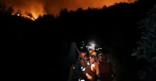 福建漳浦突发山火,引发山火的原因是什么?