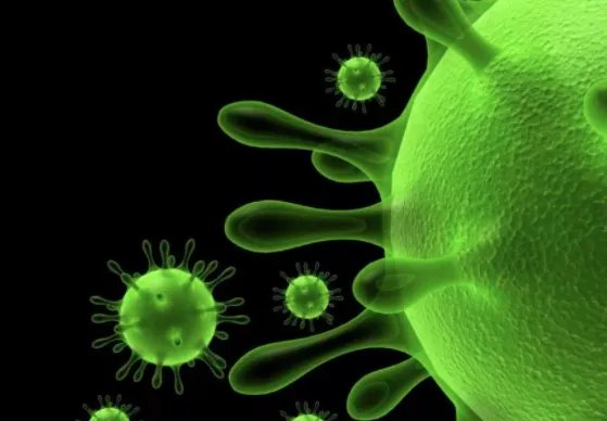 31省份新增本土12151