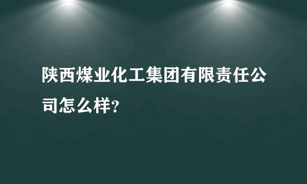 陕西煤业化工集团有限责任公司怎么样？