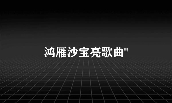 鸿雁沙宝亮歌曲