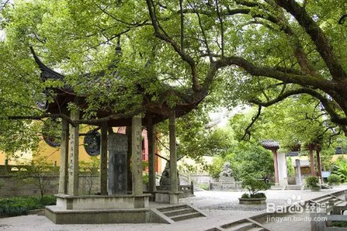 这个黄金周去这个人潮涌动的地方看什么？