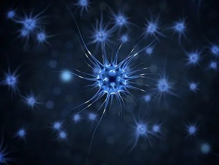 31省区市新增确诊病例11例 山东新增1例本土确诊