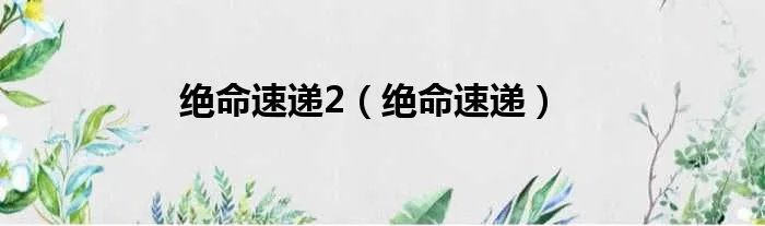 绝命速递2（绝命速递）