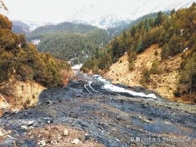 青海祁连山再次出现环境破坏事件，为什么还有人顶风作案？