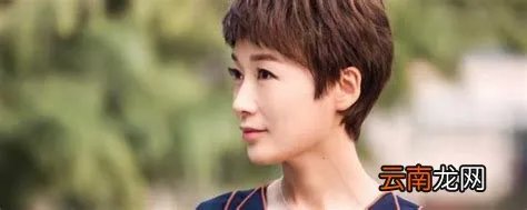 复合大师演员表哪些演员出演了这部剧