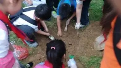 台东一小学现大量蚯蚓，遍布小学操场跑道，这些蚯蚓究竟从何而来？
