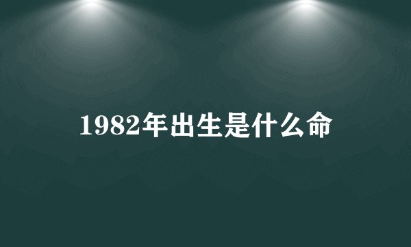1982年出生是什么命