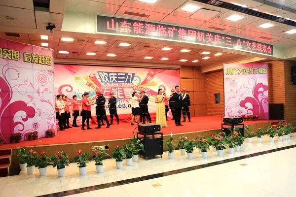 临沂矿业集团有限责任公司的公司概况