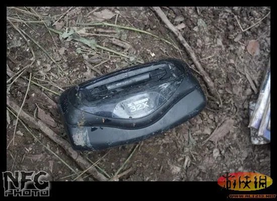 百年洪水来袭 澳洲玩家藏品惨遭洪水蹂躏(图)