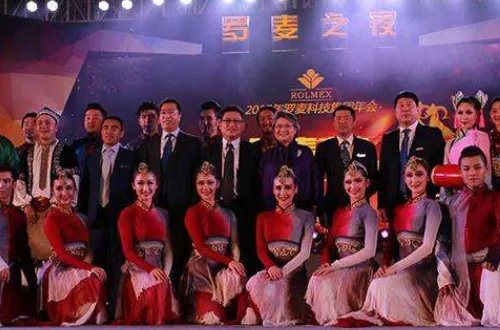 罗麦是一个怎样的公司？