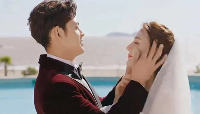 幸福触手可及电视剧演员 幸福触手可及剧情介绍