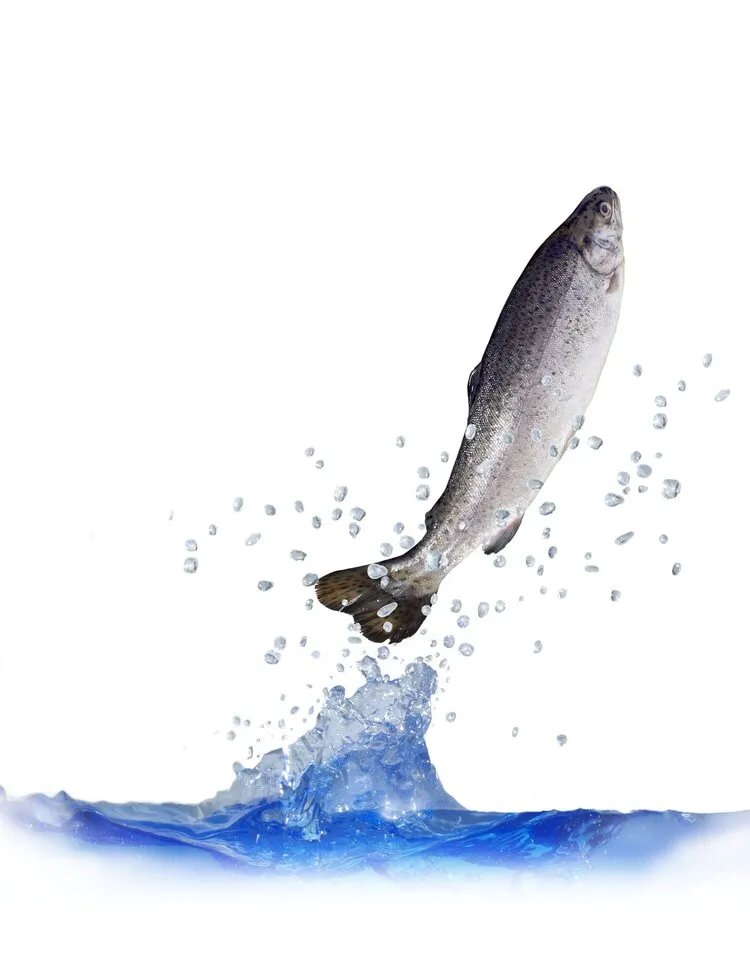 做鱼疗能治病?运气不好,还可能“致病”