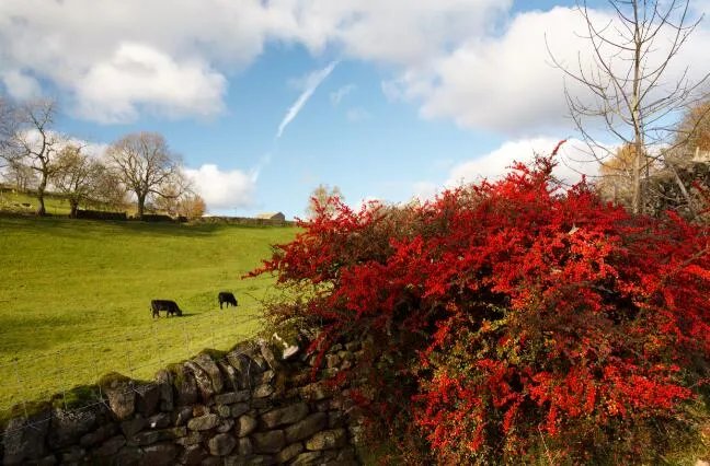 适合发朋友圈的句子