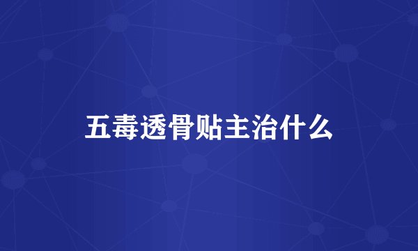 五毒透骨贴主治什么