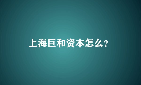 上海巨和资本怎么？