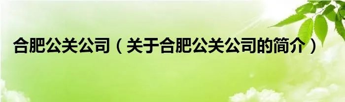合肥公关公司（关于合肥公关公司的简介）
