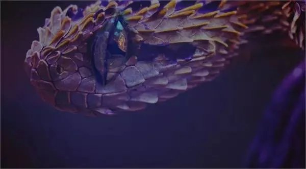 盗墓笔记十大恐怖怪物 听起来就不寒而栗，你被吓到了吗