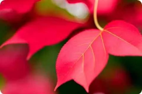 酒店床上用品价格 酒店床上用品批发