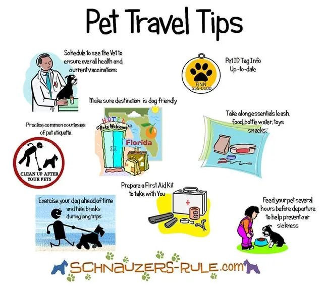 网曝东航又一金毛托运惨死，宠物托运为什么会频出事故？