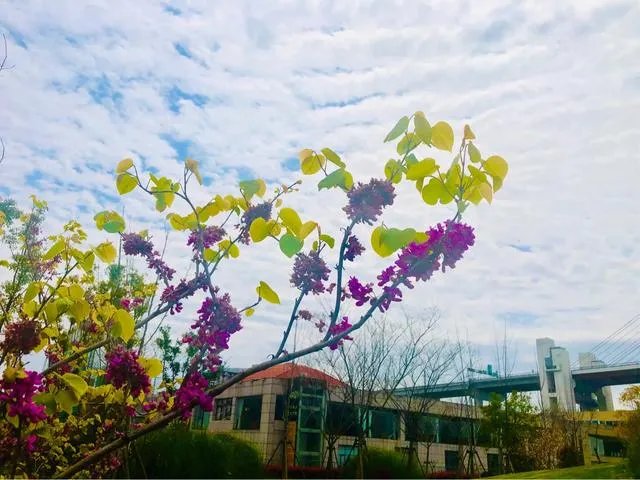 上海疫情已经降为三级,小区与小区之间的门什么时候通?