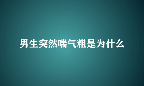 男生突然喘气粗是为什么