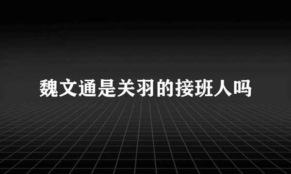 魏文通是关羽的接班人吗