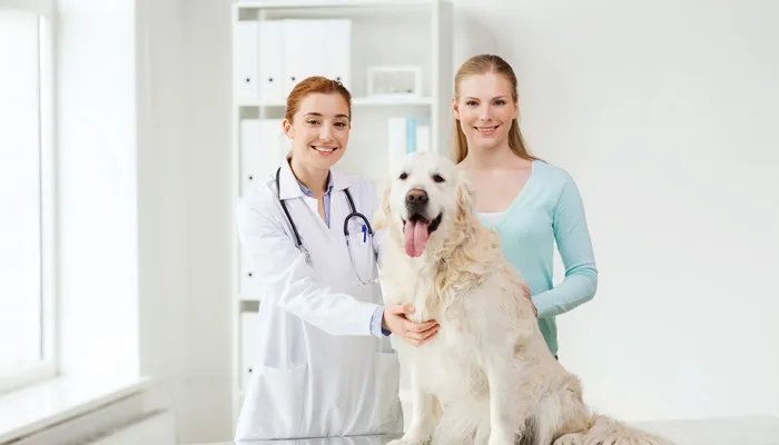 猎犬的品种有哪些 猎犬有哪些品种