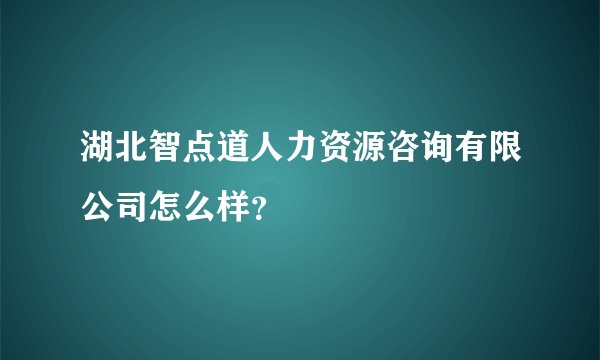 湖北智点道人力资源咨询有限公司怎么样？