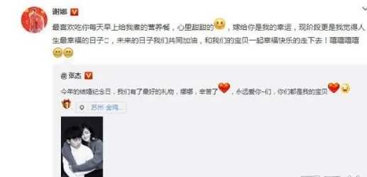 谢娜怀孕几个月了?