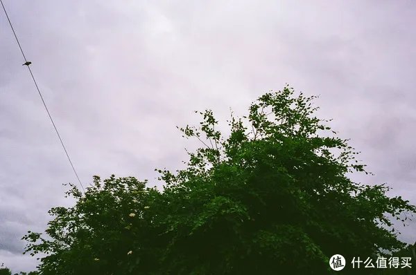 Contax G1 胶片相机:记录旅途的点点滴滴