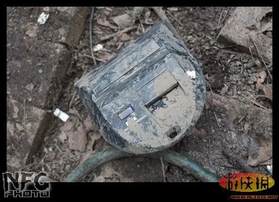 百年洪水来袭 澳洲玩家藏品惨遭洪水蹂躏(图)