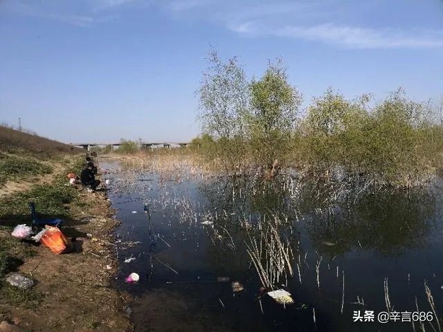 西安有哪些免费钓鱼的地方?