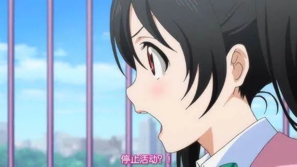 矢泽妮可的人际关系