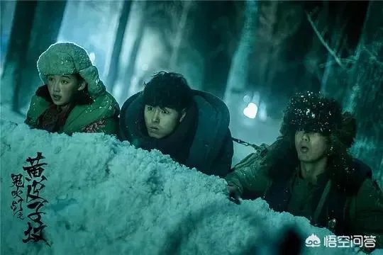 丁嘉文在电视剧《鬼吹灯之黄皮子坟》中的表现如何？