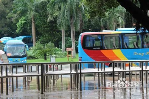 深圳仙湖植物园旅游攻略