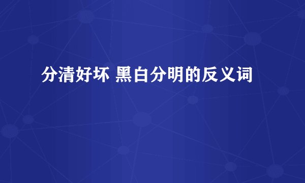 分清好坏 黑白分明的反义词
