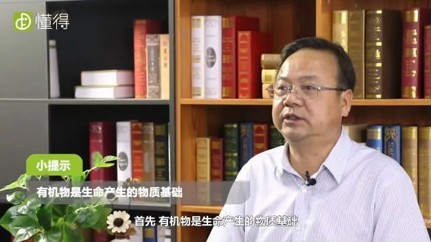 什么叫有机物