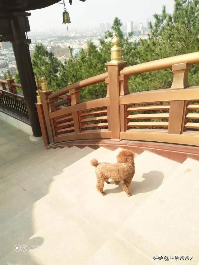 今年春晚的经费预算有多少？最终花费多少?