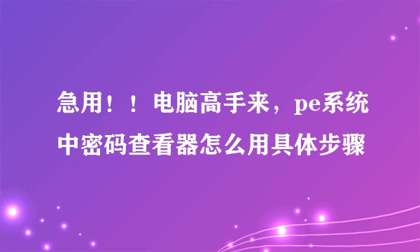 急用！！电脑高手来，pe系统中密码查看器怎么用具体步骤