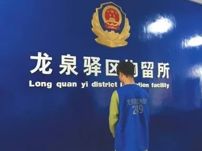 柯基犬摔死事件后续 双方皆被拘留