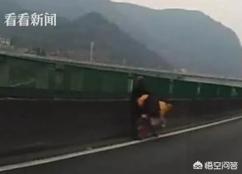 如何看待四川自贡一大爷，高速上“飙”共享单车欲返乡，结果骑反了，怎么看？