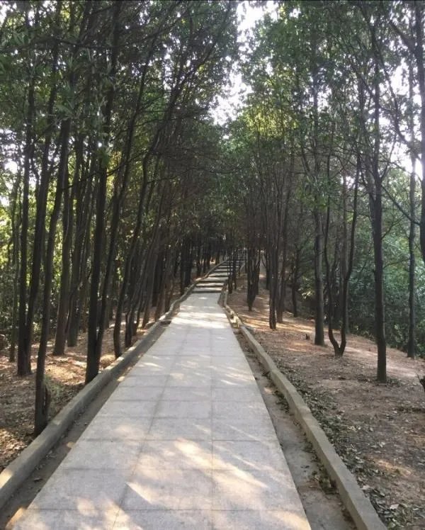 火炉山森林公园好玩吗