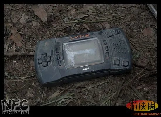 百年洪水来袭 澳洲玩家藏品惨遭洪水蹂躏(图)