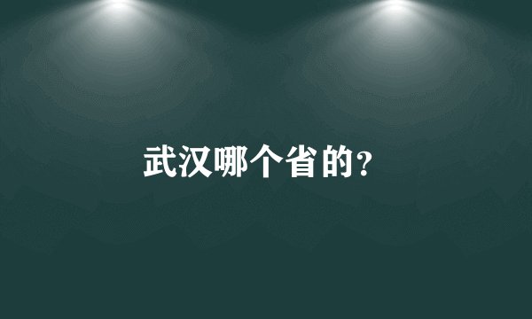 武汉哪个省的？