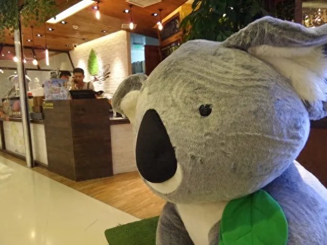 28种模式 三星GALAXY K Zoom拍照评测